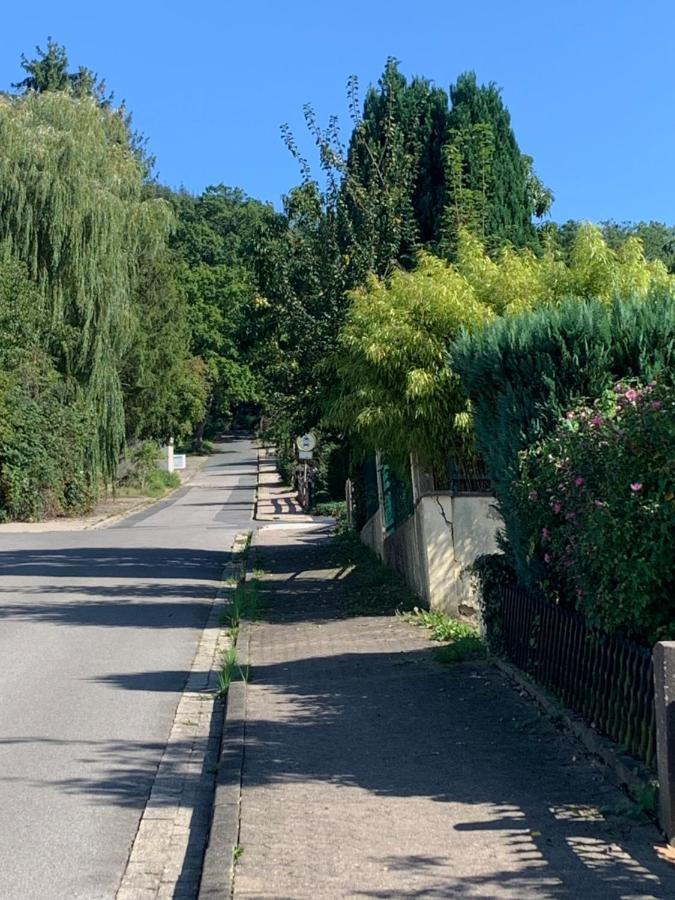 Haus Erdmaennchen Διαμέρισμα Bodenwerder Εξωτερικό φωτογραφία